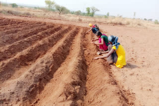 Belagavi farmers geared for monsoon sowing