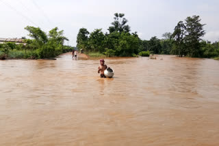 kampur Nagaon