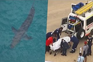 Australia Shark Attack