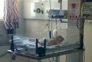 babies born in Jalandhar