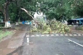 afternoon storm at Durgapur