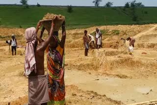 Workers started getting work under MNREGA in Deoghar