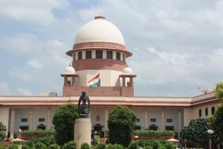 Pil filed in sc