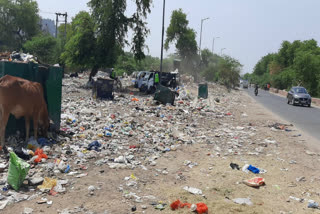 Garbage dump on the roadside from Kalindi Kunj to noida