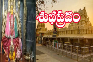 Devotees visit Amma at the Sri Bhadrakali Temple in Warangal.