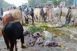 protest against odd even formula applied in jhajjar vegetable market