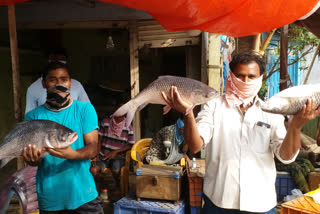 Faster fish sales in Bhadradri kothagudem district because of Mrugashirakarthe