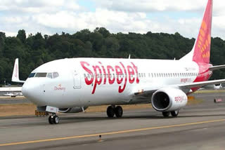 spicejet airline