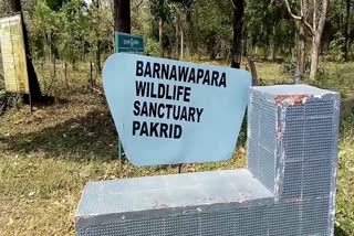 effect of lockdown at bar navapara sanctuary