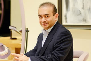 Nirav Modi