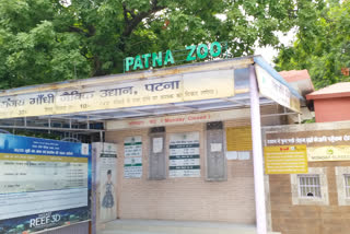 patna