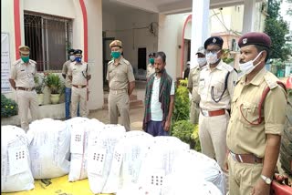 Huge quantities of cannabis seized in kandhamal