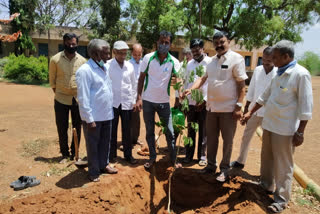 ಗಿಡಗಳ ಪೋಷಣೆಯಲ್ಲಿ ತೊಡಗಿದ ಉಸಿರಿಗಾಗಿ ಹಸಿರು ತಂಡ