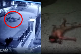 Dog attack  Allagadda  Andhra Pradesh  Kurnool  4-year-old boy  Boy dies due to dog attack  തെരുവുനായകൾ  തെരുവുനായകളുടെ ആക്രമണം  ആന്ധ്രയിൽ നാല് വയസുകാരൻ മരിച്ചു  ആന്ധ്രാപ്രദേശ്  കർനൂൾ ജില്ല