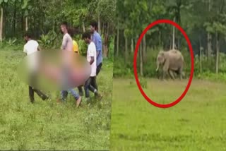 Man trampled to death by tusker in Bengal