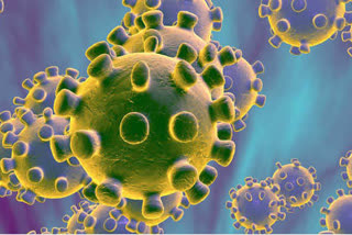 مہاراشٹرا،گجرات اور دہلی میں کوروناوائرس سے 71.3 فیصد ہلاکتیں