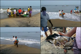 മലപ്പുറം  ട്രോളിങ് നിരോധനം  കൊവിഡ്  കൊവിഡ് ലോക്ക് ഡൗൺ  Trolling banned  Covid  Fishermen crisis