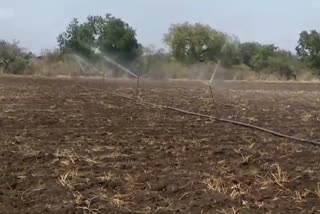 sprinkler Irrigation help help after cotton cultivation in washim