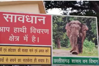 Chhattisgarh: Another dead body of an elephant found in Surguja