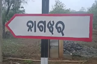 ଗୁଣିଗାରେଡି ସନ୍ଦେହରେ ଡବଲ ମର୍ଡର ଉଦ୍ୟମ