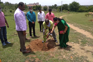 ಬೇಲೂರಿನಲ್ಲಿ ಪರಿಸರ ದಿನಾಚರಣೆಯ ಪ್ರಯುಕ್ತ ಗಿಡ ನೆಡುವ ಕಾರ್ಯಕ್ರಮ