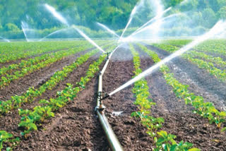 Micro Irrigation