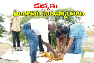 funeral for dog in khammam district