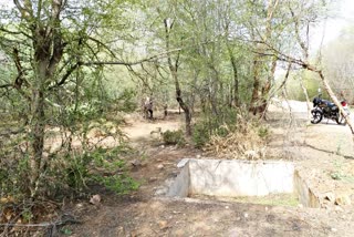 Bundi Forest Department negligence,  Bundi Forest Department