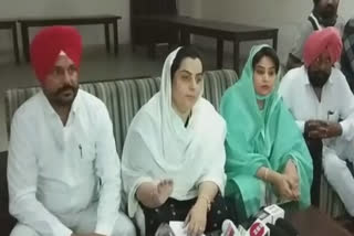 bathinda, aap, mla baljinder kaur, gobind singh loangowal