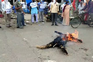 cpi(m) burnt shah and modi effigy