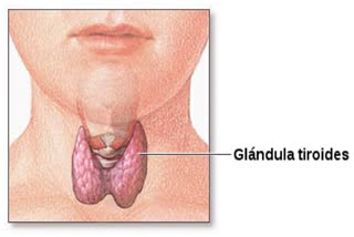 How to manage Thyroid during COVID 19?