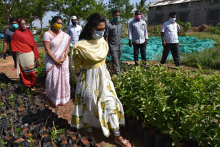 jogulamba gadwal collector inspected development works in villages