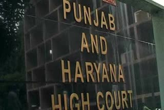 punjab-and-haryana-high-court-dismisses-1983-pti-teachers-case