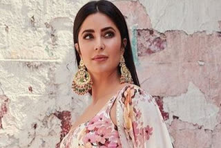 katrina kaif urges people to feed animal