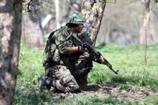 2 terrorists killed in encounter in Jammu and Kashmirs Shopian