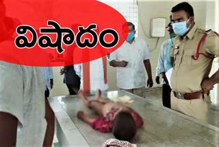 tragedy-incident-happen-in-waranagal-rural-district-six-years-old-boy-died-accidentally