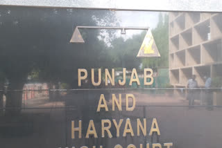 punjab haryana high court