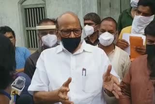 sharad pawar visit ratnagiri  nisarga cyclone effect on raigad  शरद पवार रत्नागिरी दौरा  निसर्ग चक्रीवादळाचा कोकणावर परिणाम  रत्नागिरी लेटेस्ट न्युज  ratnagiri latest news