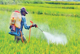 NSAI Indra Shekhar Singh on banning 27 pesticides