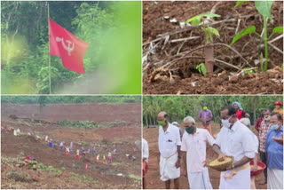 സിപിഎം വാർത്ത  കാസർകോട് തരിശ് ഭൂമിയില്‍ കൃഷി  4000 ഏക്കറില്‍ കൃഷിയിറക്കി സിപിഎം  ബേഡകം ഏരിയ കമ്മിറ്റി  cpm news  bedakam area committee  kasargode cpm farming news