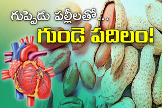 special story on groundnuts are Good for heart