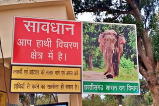 death of elephants in chhattisgarh