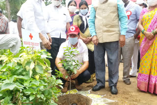 mla vinaybhaskar planted trees in warangal urban district