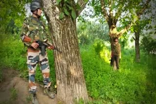 encounter-breaks-out-in-shopian-district