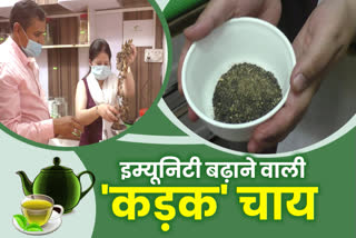 Dr. Divya of Rohru prepared herbal tea to strengthen immunity