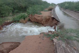 सांचौर में वितरिका टूटा, Distribution broken in Sanchore