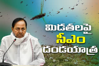 cm-kcr-review-of-locusts