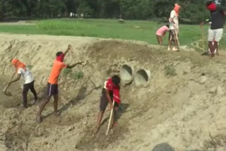 educated youth working in mgnrega in chauri chaura tehsil in gorakhpur