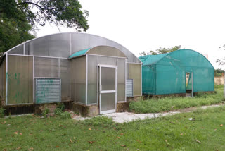 Green house