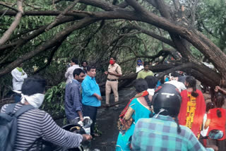 heavy rainstorm in manchirial district